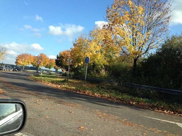 秋の道路